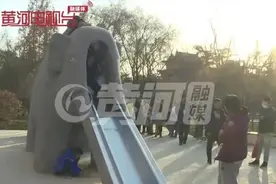 人气爆棚！太原迎泽公园 大象滑梯又能滑啦图片