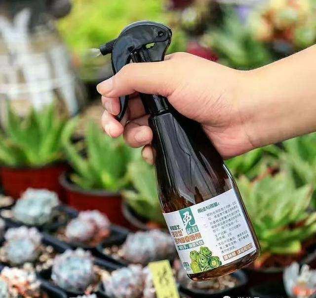 去鸡皮疙瘩的有根除的药