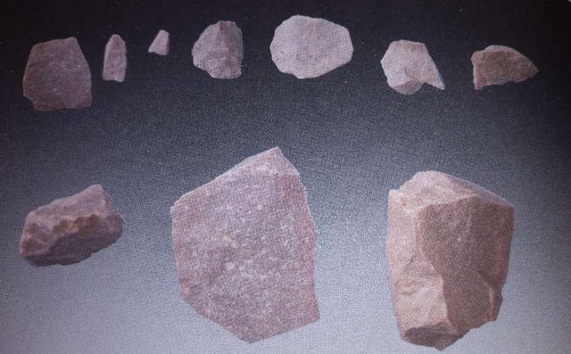 古代鹿角化石价格