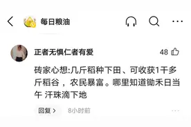 一亩地几斤种子产粮千余斤：一本万利的粮食种植为何没让农民致富图片