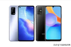1299元6+128G大内存拍照手机选realme真我Q2还是荣耀play5T活力版图片