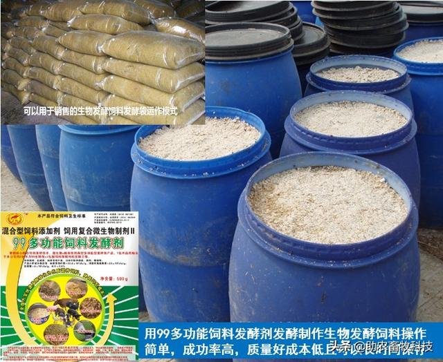 乳酸菌和酵母菌对发酵饲料的意义大，组合发酵效果更好