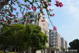 高考：为中等考生推荐性价比高的大学之61：桂林理工大学图片