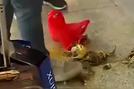 活螃蟹能带上火车吗？南京规定：必须捆绑并包装好图片