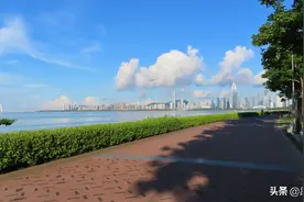 深圳湾与香港元朗，喜欢早上晨运的宁静图片