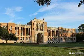 全球最顶尖的码农们的收入待遇 阿里巴巴疫情期间发大米图片