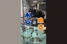 2020·图鉴月历图片