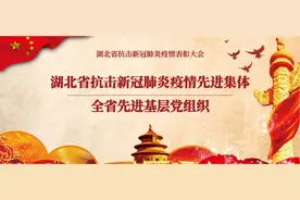 湖北省药监局武汉分局党支部荣获 “湖北省抗击新冠肺炎疫情先进集体” “全省先进基层党组织”图片