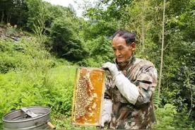 12年前，因“华南虎”事件入狱的陕西农民周正龙，后来怎么样了？图片