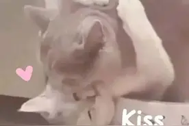 原来女生和自己喜欢的人聊天是这样啊。全程是捂着嘴看完的，好甜图片