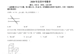 2020年四川省自贡市中考数学试题含解析（收藏）图片