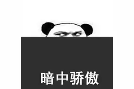 熊猫头关于骄傲的表情包合集图片