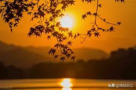 高高秋月照无垠图片