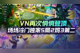 云顶之弈VN再次悄悄登顶！场场冷门独家5局2鸡3第二图片