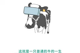 为了让牛多产奶，他们逼着牛看片子图片