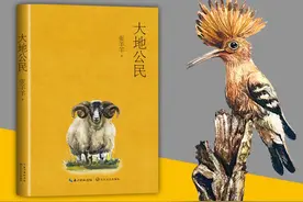 作家张羊羊：写动物，实际上既是写大自然也是写自己图片