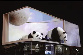 街头惊现巨型喵星人？不用眼镜就能看的3D画面是什么原理？图片