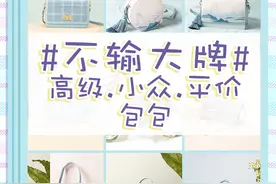 不输大牌的小众包包｜平价也有高级质感图片