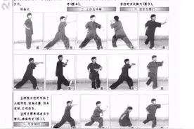 实用格斗拳教学（李仕勤）图片