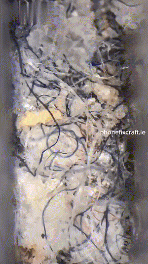 爆笑GIF：来看看你手机充电口有多脏图片