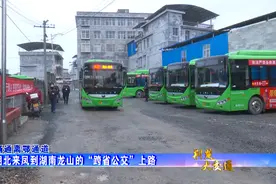 荆楚大交通 | 绿码通行无阻！环鄂五省一市通道畅通图片