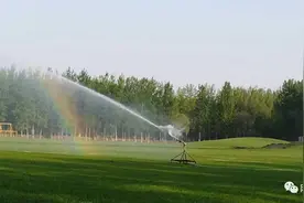 平山县大吾生态谷：水落见彩虹，草绿美如毯图片