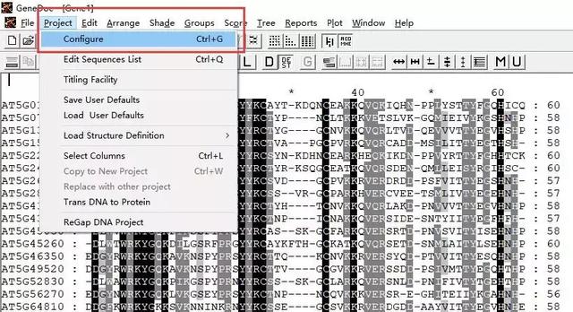 GeneDoc绘制漂亮的多重序列比对图