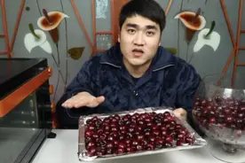 小伙自制“车厘子干”，买了30斤，放入烤箱中，取出后：打扰了图片