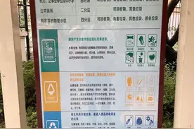 长春大专院校垃圾分类在行动——绿色校园共打造，垃圾分类一起来图片