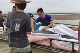 再见啦！宁海两头搁浅海豚经救助游回大海图片