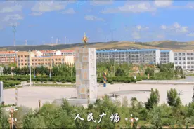 昔日励志打工仔 返乡创业成模范——记化德县公腊胡洞乡挺进村张磊的创业故事图片