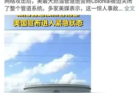 全球最大的黑客组织，和马斯克杠上了图片