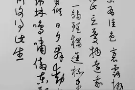 下午整理泡酒图片