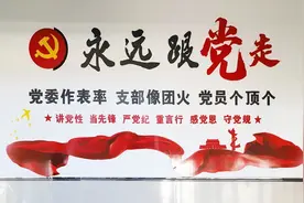 特色文化墙，点亮学习教育课堂图片