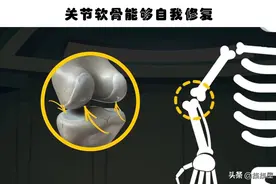 近些年来，科学家们所发现的10个关于人体的有趣事实图片