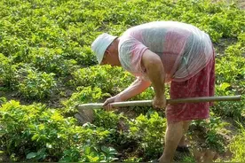 农民在自家菜园发现古石碑，专家鉴定后被吓到，家里祖上何人图片