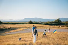读懂张爱玲，就读懂了中国式亲戚图片