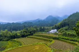 时评：人尽其才 才尽其用图片