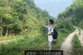 诱蜂箱一定要放高一点吗？让老丁来告诉你吧图片