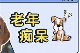 “没想到，养了7年的狗会忘了我…”图片