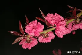 从历史中吸取教训图片