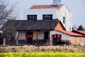 宅边种三树，家业富三代，老农民讲农村种树的风俗图片