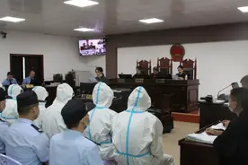 广西河池：一电动车行老板伪造、出售上千张假牌假证获刑图片