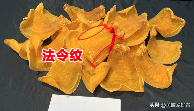 土鳘鱼胶与赤嘴鱼胶哪个好 2026年土鳘鱼胶与赤嘴鱼胶区别