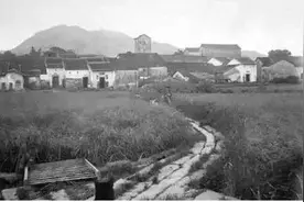 100年时光变迁的鹏城，您了解嘛？#这些年我在深圳#图片