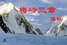 《梅岭三章》精排版说课稿——部编版初中语文九年级下册精品资源图片