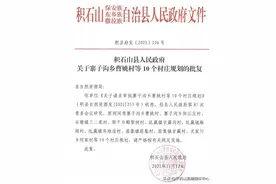 积石山县癿藏镇麻坝村村庄规划批后公示图片