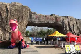 合肥野生动物园搬迁最新进展！图片