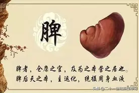 性命之谜（廿四）脾脏：五脏中的小透明，却有大名鼎鼎的神灵代表图片