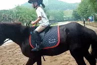 优惠加“马”！2.6折单人年卡套餐（含5次骑马5次喂马体验）图片